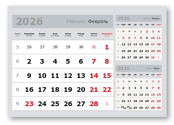 2026 - «3 в одном» мелованные  миди «3 в 1» (335*235)  серый